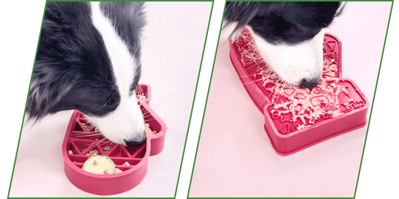 2 in 1 christmas dog bowl